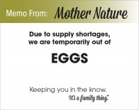 Eggs Shortage - PDF