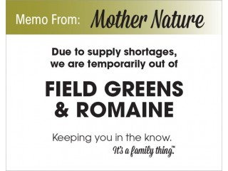 Field Greens & Romaine Shortage - PDF