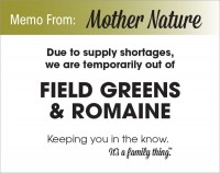 Field Greens & Romaine Shortage - PDF