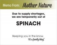Spinach Shortage - PDF