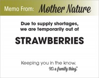 Strawberry Shortage - PDF